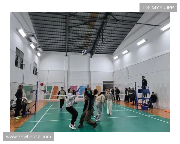 最新排球战术排名前十上海排球队凭借创新战术稳居榜首